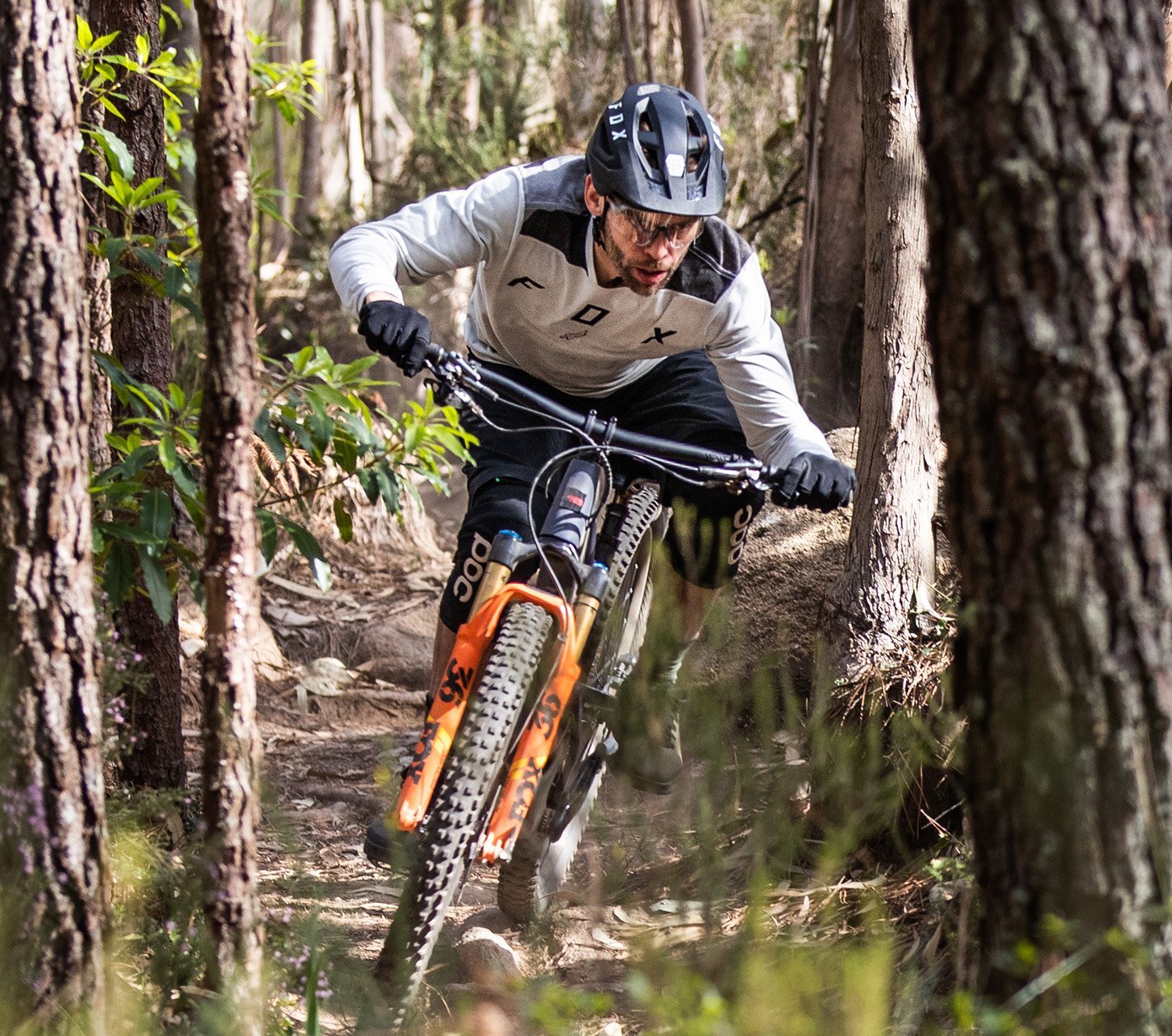 Mountainbiker im Wald