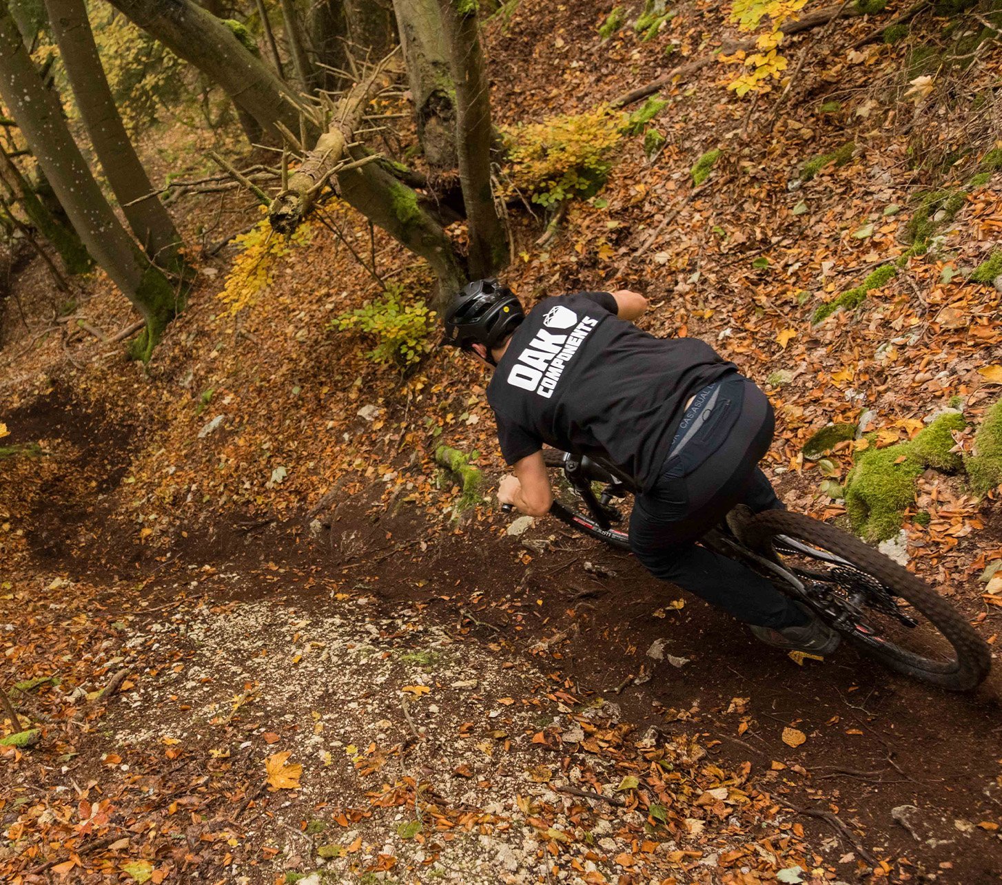 Mountainbiker fährt einen kurvigen Trail durch den Wald