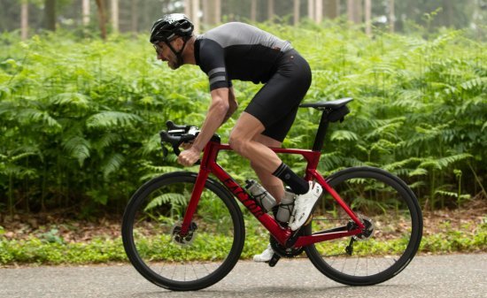 A cyclist on a red road bike rides on a paved road through a forest with green ferns in the background.