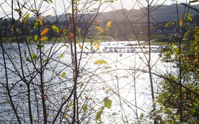 Water and sun make for great settings. 