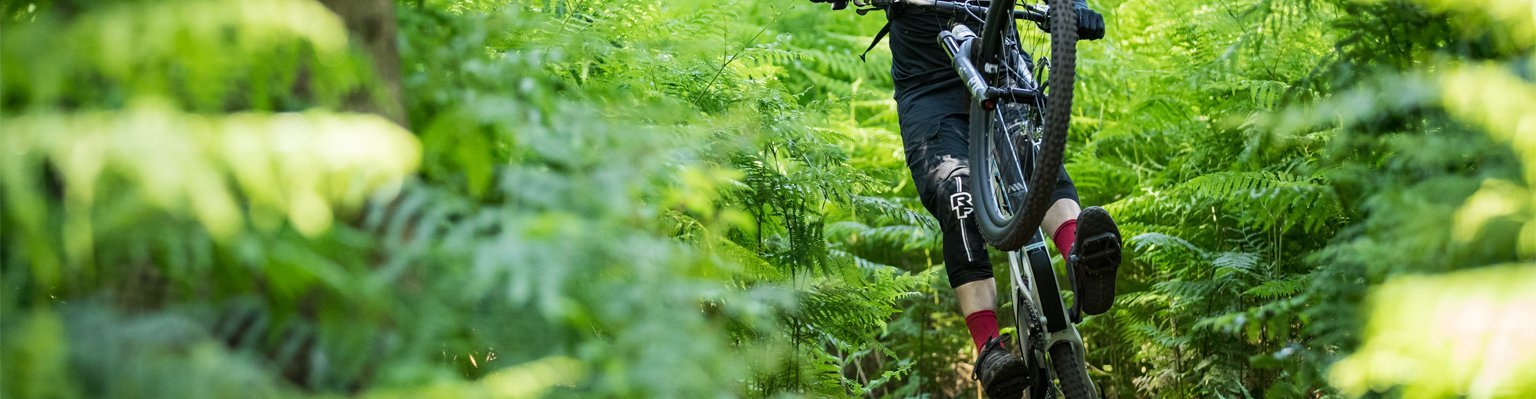 Mountainbiker Manual Wald Anlieger