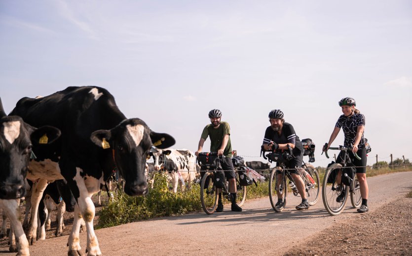 Lors des voyages à vélo, les sacoches de guidon sont un bon moyen de transporter tes bagages légers et les objets auxquels tu veux avoir accès rapidement lorsque tu es en route.