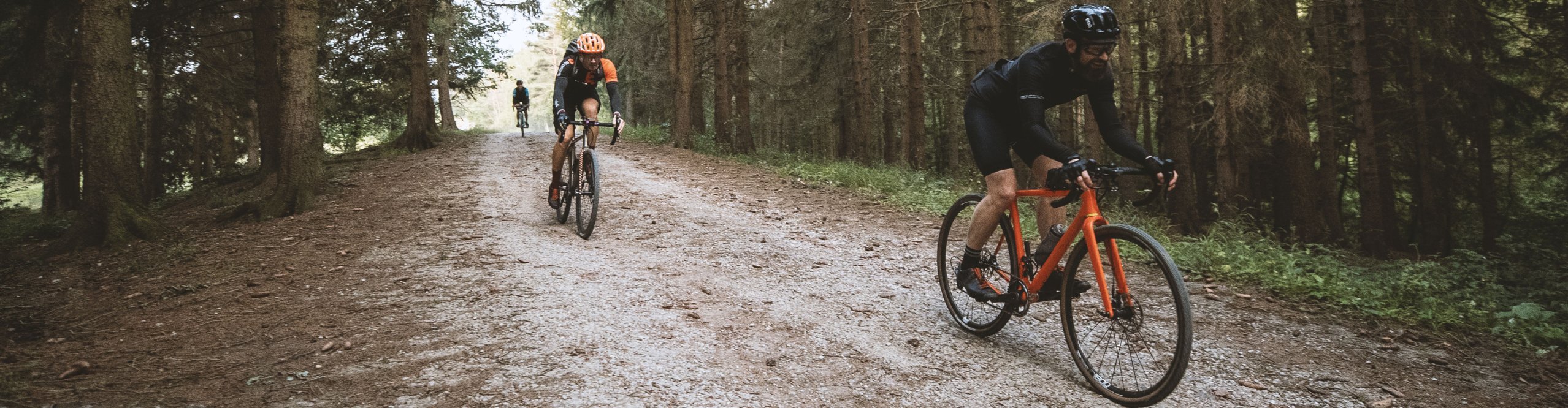 DT Swiss G 1800 im Wald auf Schotterweg