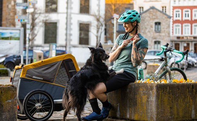 Lots of treats, lots of praise: through positive reinforcement and with a little patience, the acclimatisation process can go well. 