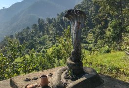 Kobra Schrein Nepal 