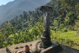 Kobra Schrein Nepal