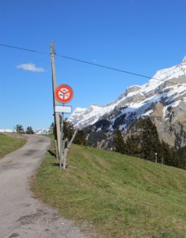 Kleine Bergstraßen laden zum Aufstieg ein.