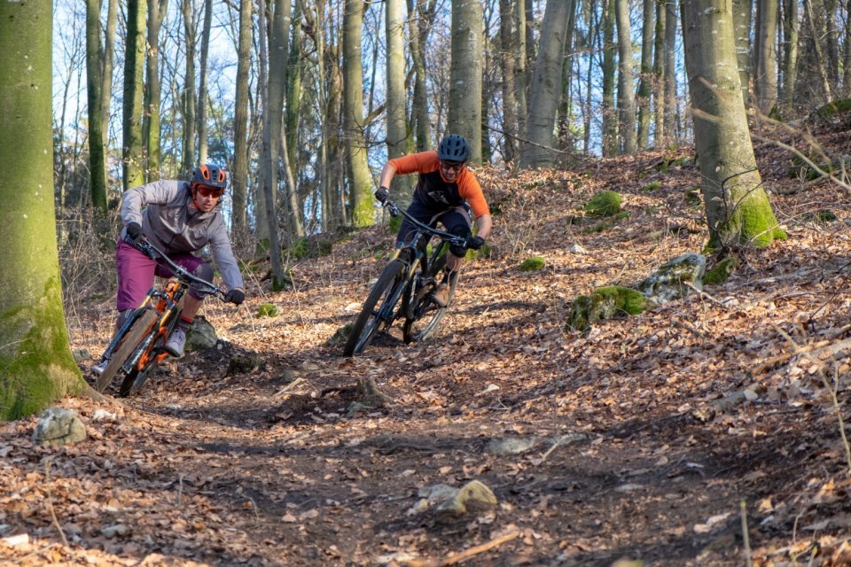 Trail Enduro Series Rennen Waldboden Heumödern Trails Treuchtlingen