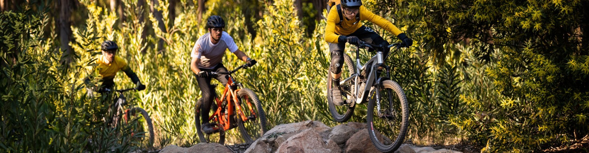 Christoph, Georg and Rainer from bc ride on mountain bikes. The terrain is rocky.