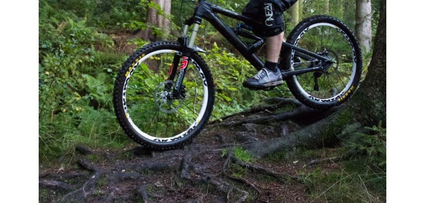 Maxxis Shorty, Maxxis Ardent, Mountainbike Reifen, MTB Reifen, Fahrradreifen