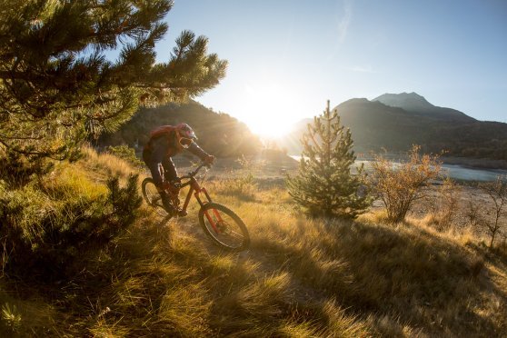 Abstandshalter Dämpfer Manitou - Ersatzteile - Fahrradteile - Ersatzteile