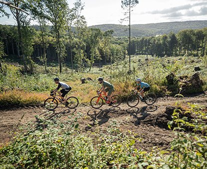 3 Gravelbiker im Sommer im Grünen