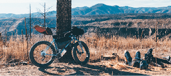 surly uk distributor