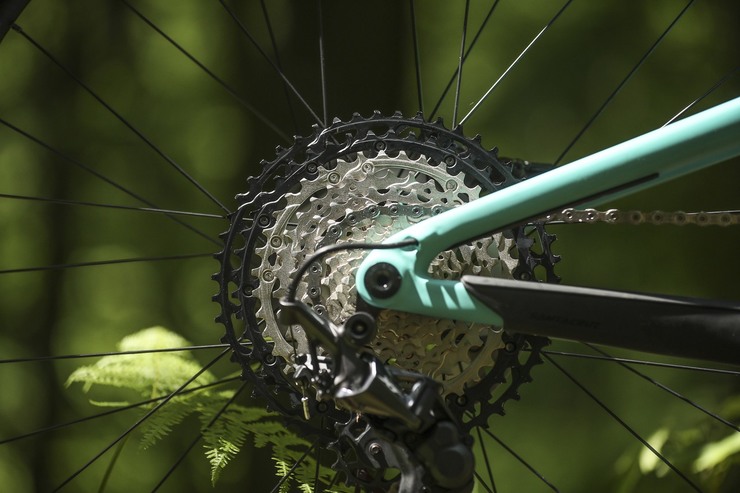 Shimano xt m8100 2025 cassette