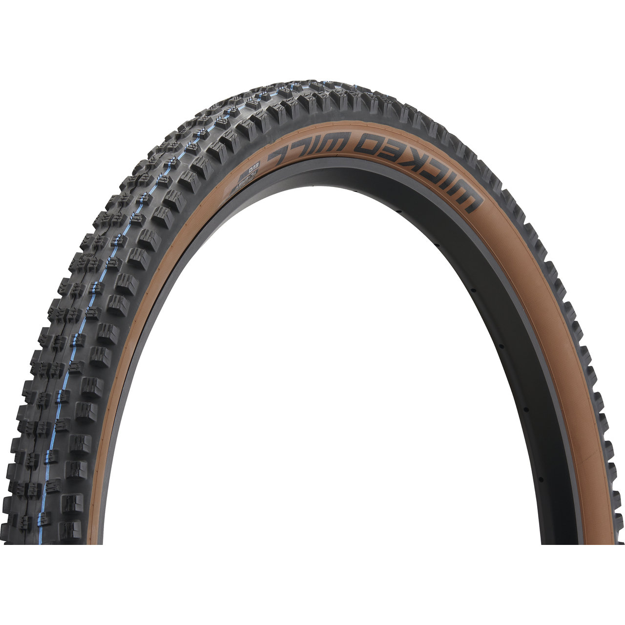 Wicked Will | Super Race | Transparent Sidewall | 29x2.40
