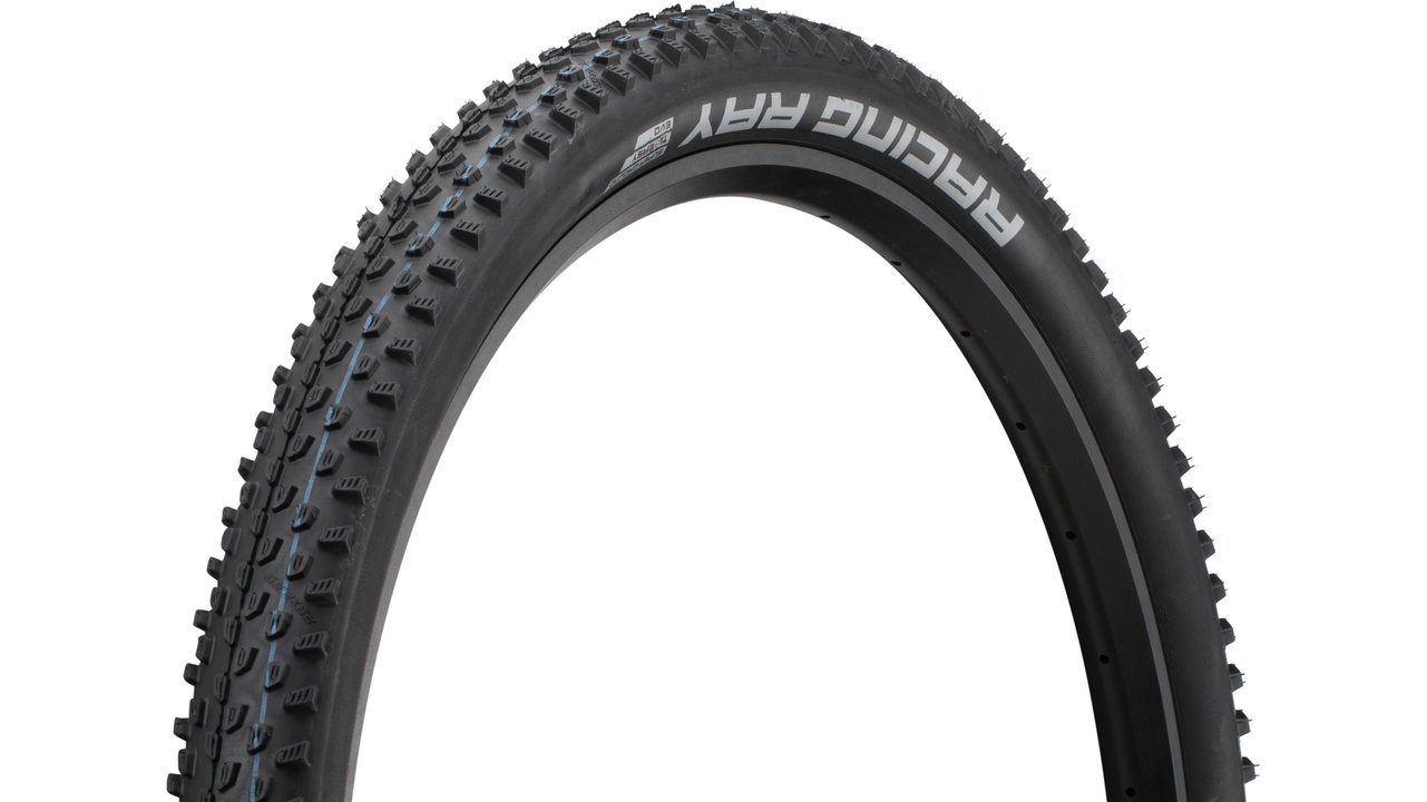 Schwalbe Racing Ray Evolution 29