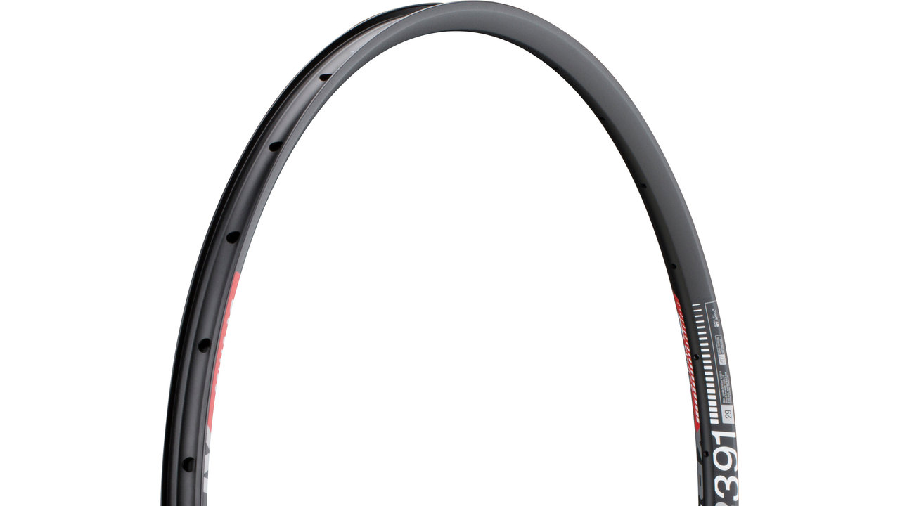 DT Swiss XR 391 Disc 29