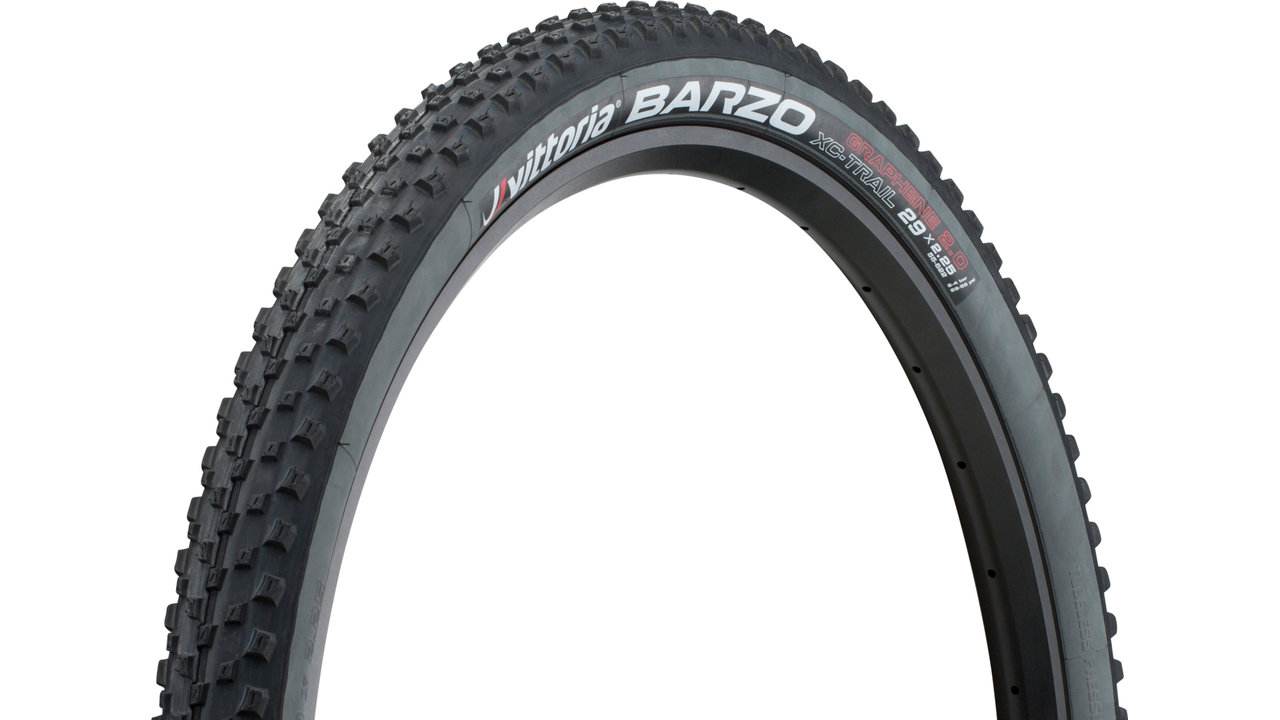 Vittoria Barzo 29