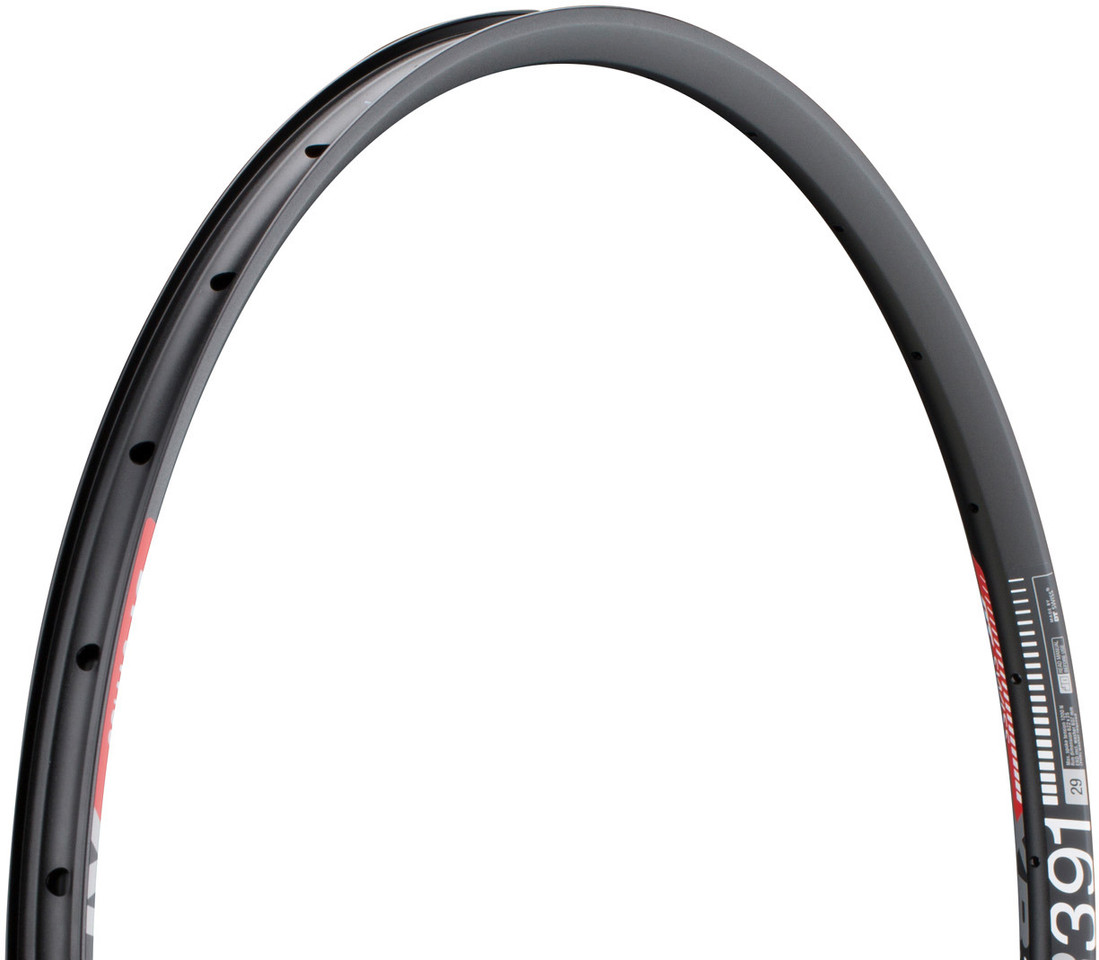 opzettelijk Bonus Arab DT Swiss XR 391 Disc 29" Rim - bike-components