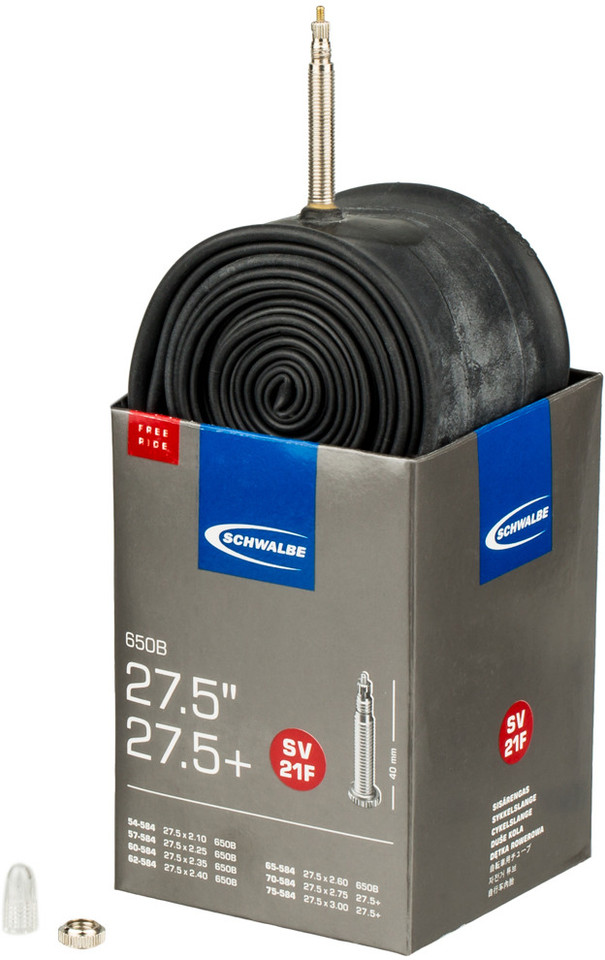 schwalbe 20 inch inner tube