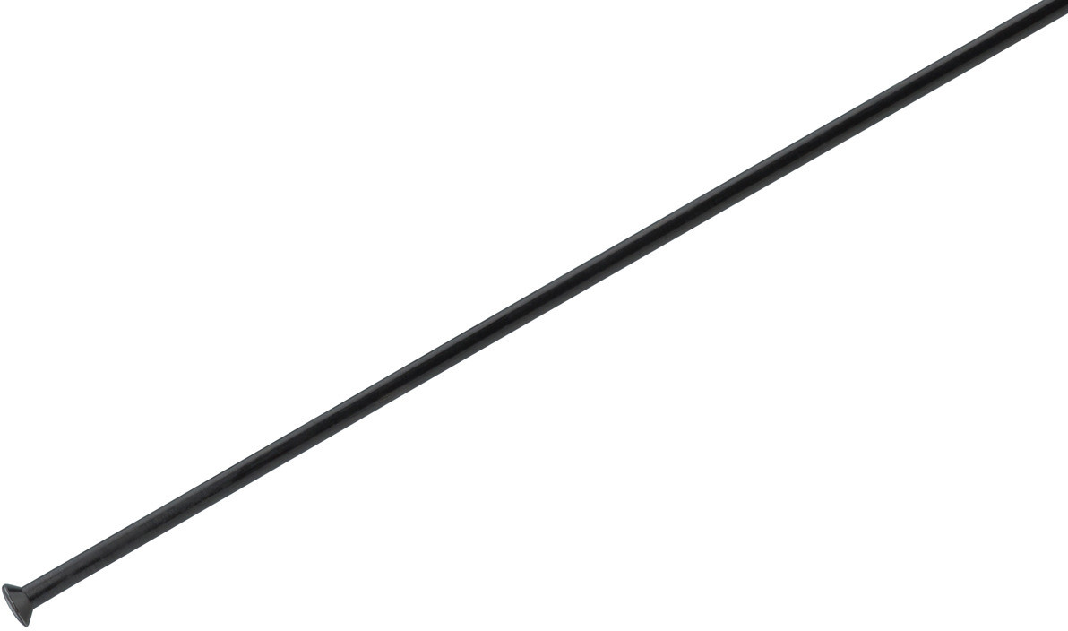 4 x dt-Swiss Champion 202 mm 2,0/2,34 mm straight pull/J-Bend negro/plata