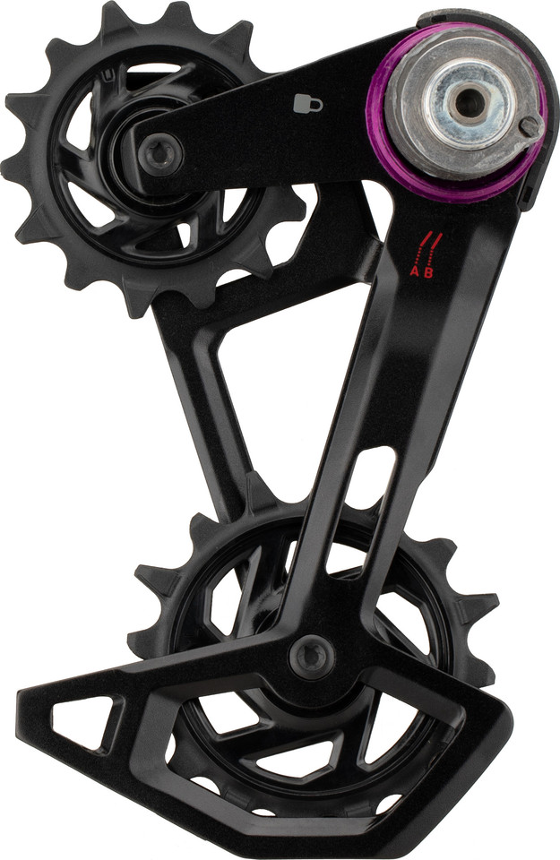 SRAM Derailleur Cage for X0 Eagle Transmission AXS T-Type Rear ...