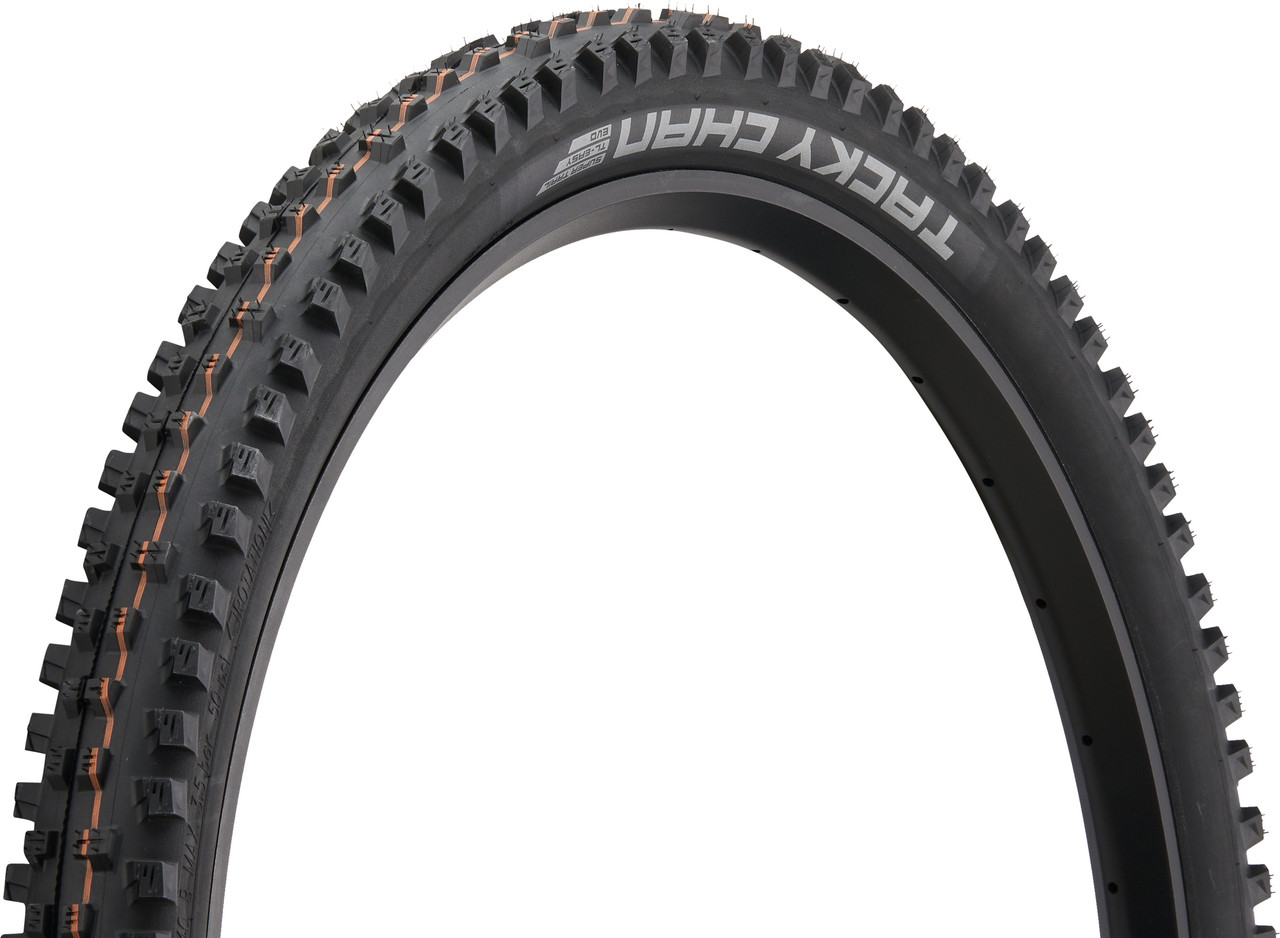 Schwalbe Tacky Chan 29