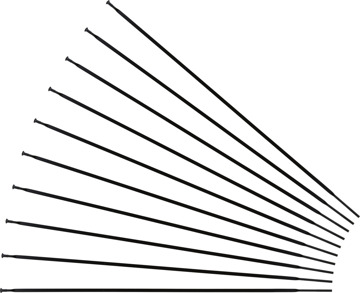Mavic Aksium Ersatzspeichen Modell 2010-2018 | bike-components