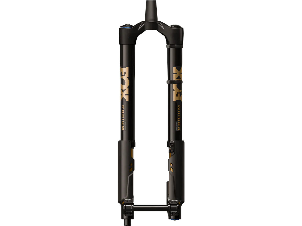 Black / gold 1