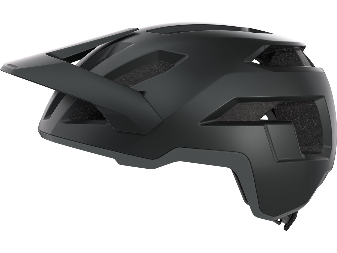 Alpina Taunus Helm