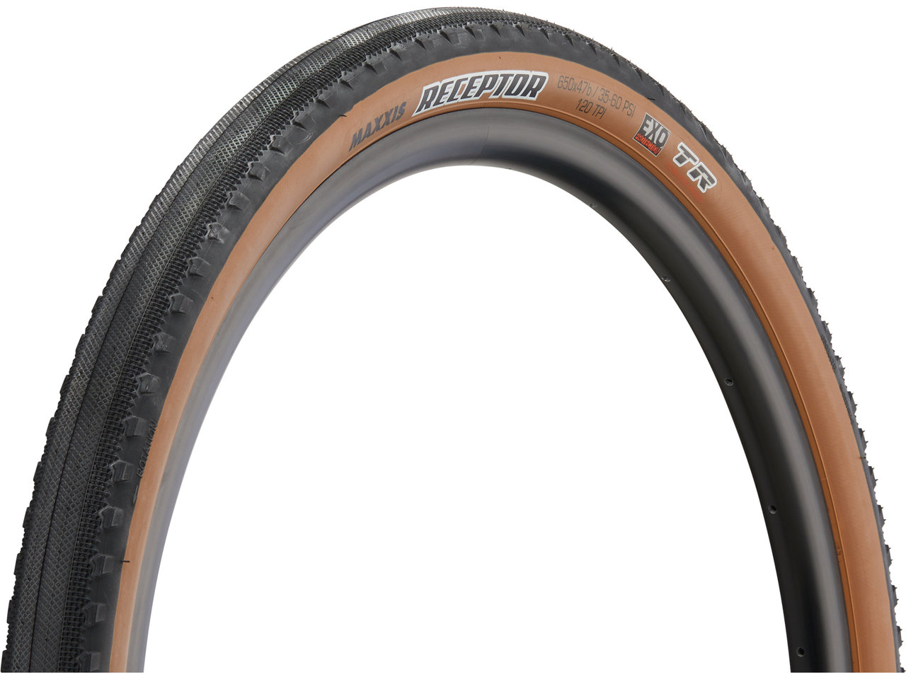 Maxxis Receptor Dual EXO TR 28" Faltreifen