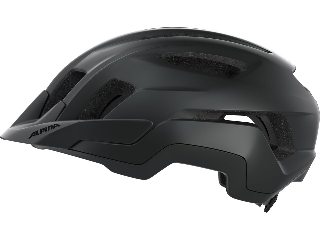 Alpina Paranus Helm
