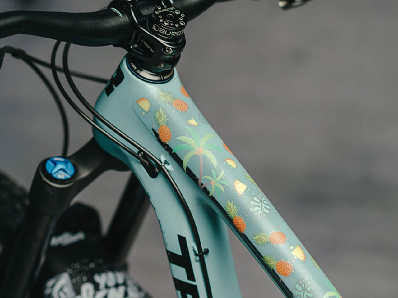 Mtb Rahmenschutzfolien-set