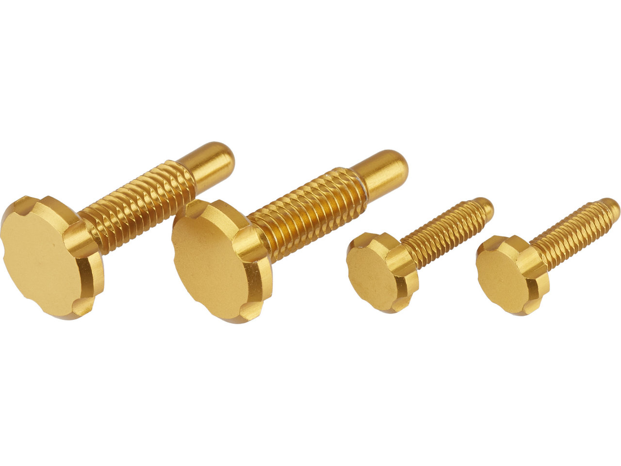 Oak Components Magura Screw Kit