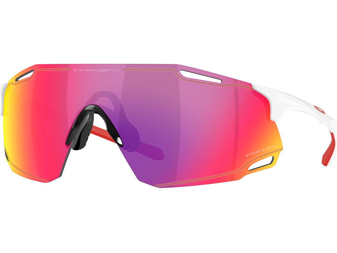 Oakley CYBR Dyno Glasögon