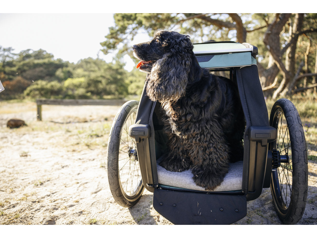Thule Bexey L Seng