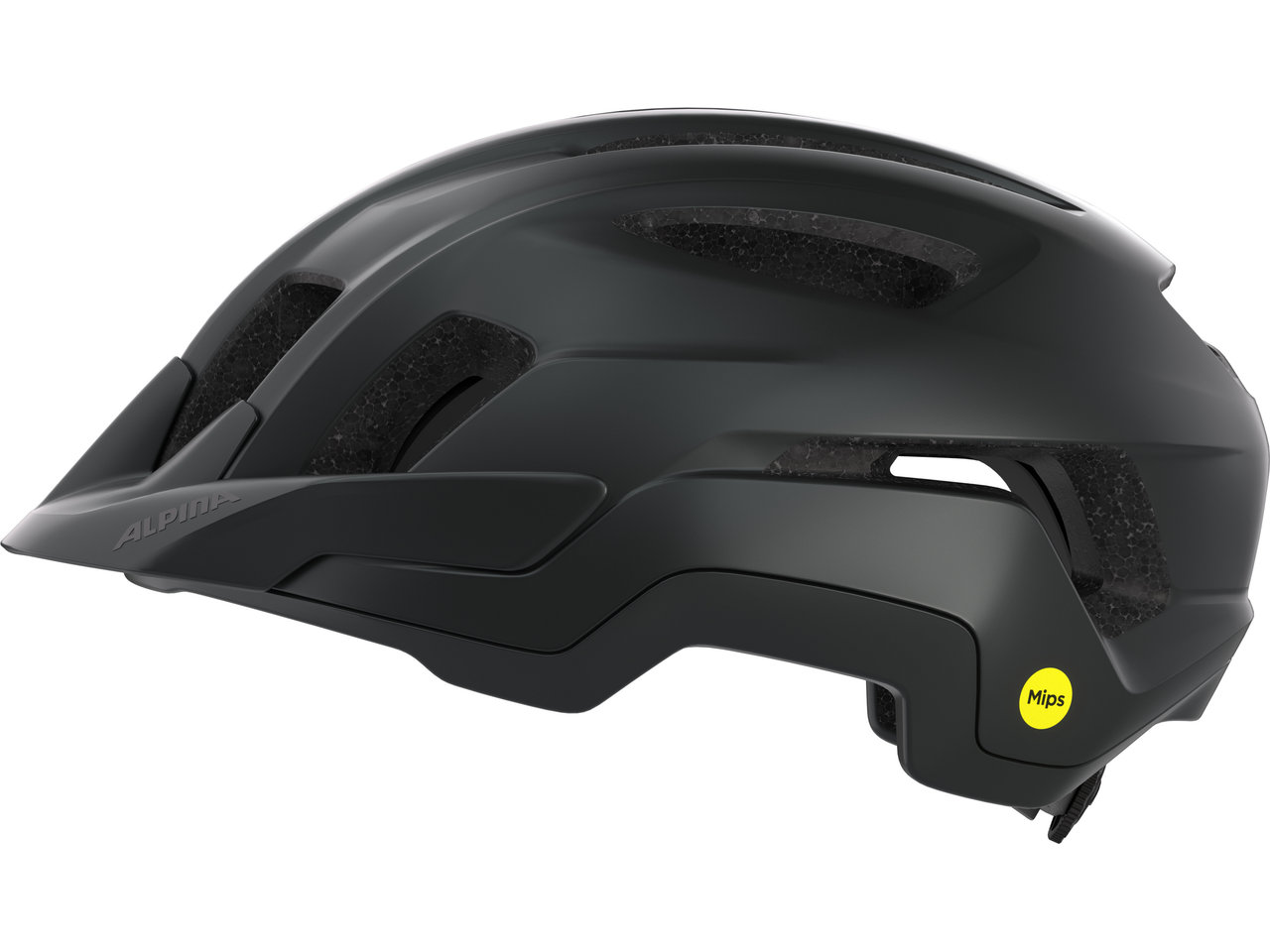 Alpina Paranus MIPS Helm
