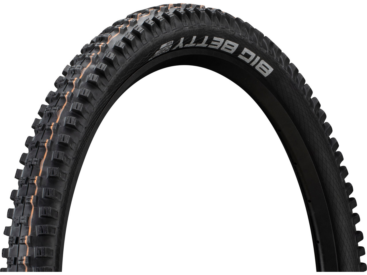 Schwalbe Big Betty Evolution ADDIX Soft Super Trail 29" Faltreifen