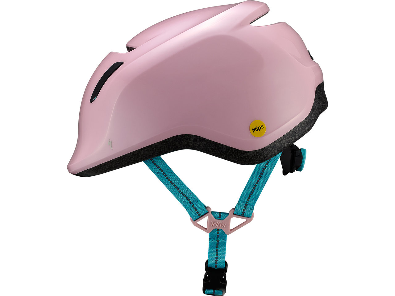Desert rose