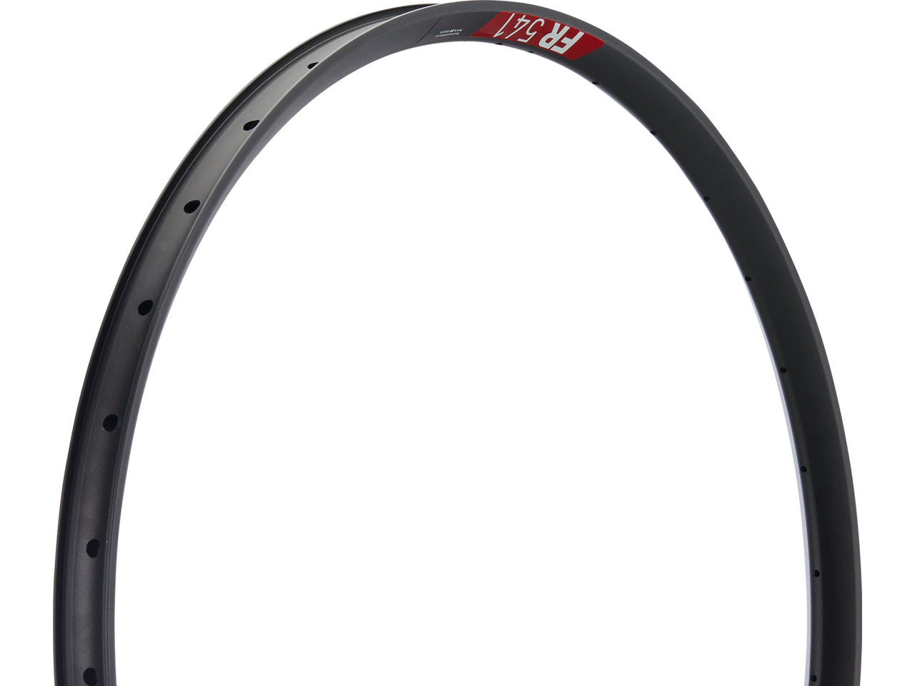 DT Swiss FR 541 Disc 29" Felge