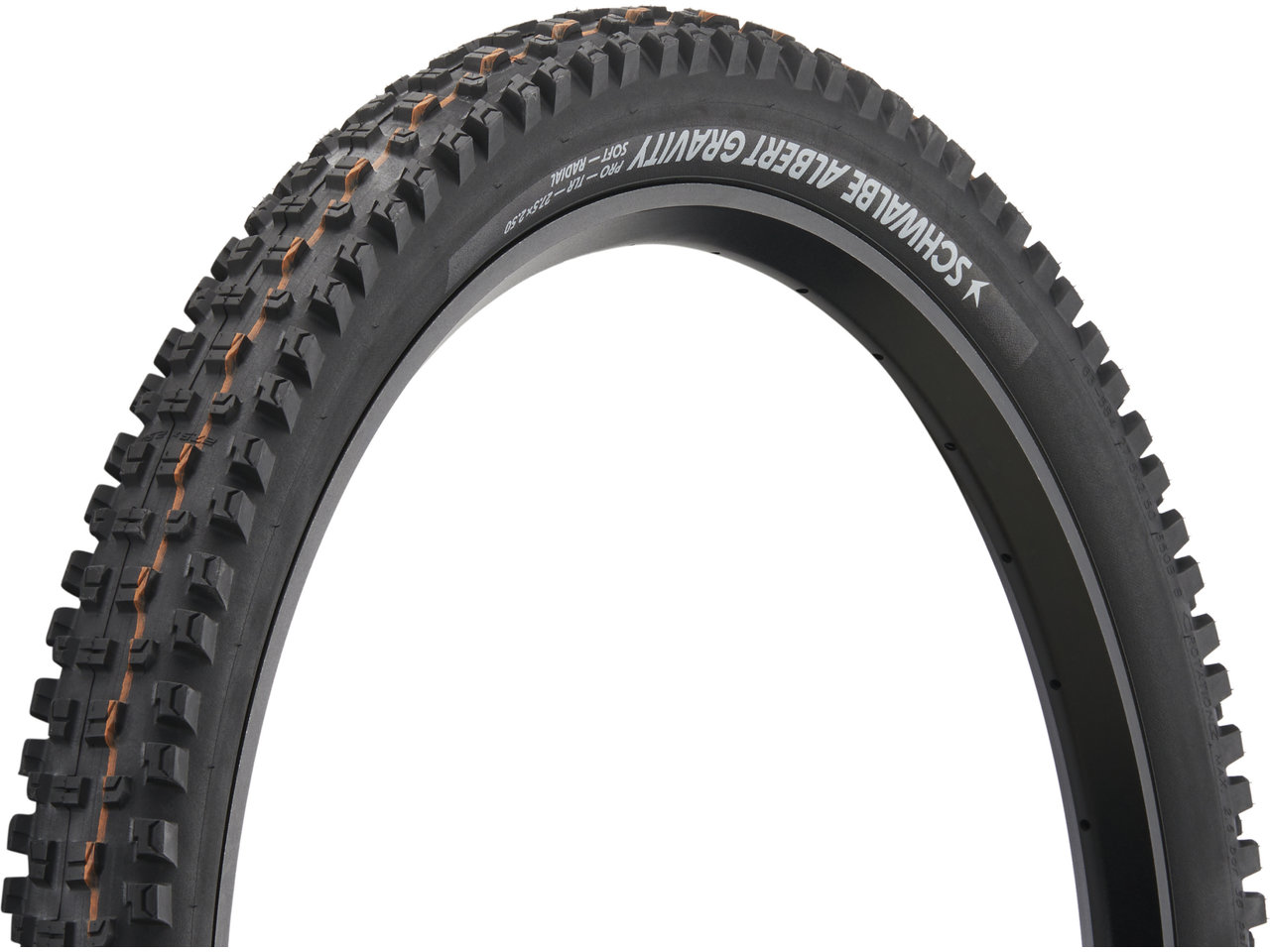Schwalbe Albert Evolution Gravity Radial ADDIX Soft TLR 29" Faltreifen