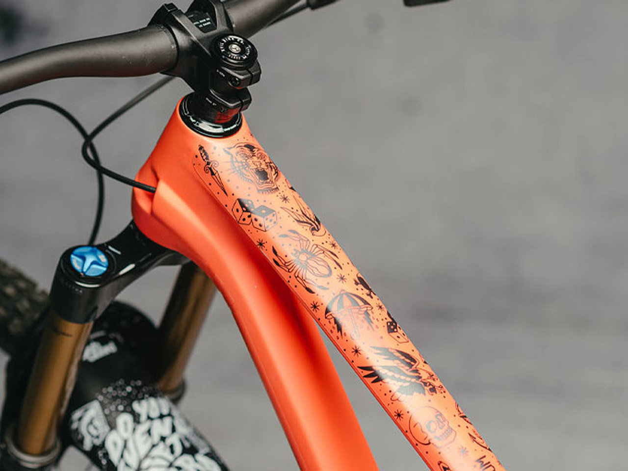 Mtb Rahmenschutzfolien-set