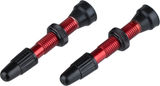 WTB TCS AL Presta Tubelessventil