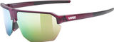 uvex Set de lunettes Vectiv
