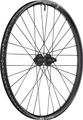 DT Swiss EXC 1500 Classic 30 Disc 6-Loch 29" Laufrad