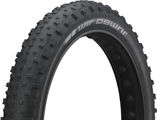 Schwalbe Pneu pour Fatbike Jumbo Jim Performance ADDIX 26+