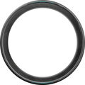 Pirelli P ZERO Race 28" pneu pliable