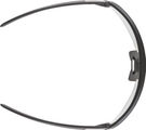Alpina Turbo Pro S V Sports Glasses