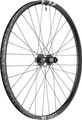 DT Swiss F 1900 Classic Disc 6-Loch 29" Laufrad