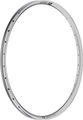 DT Swiss FR 541 DB 29" rim